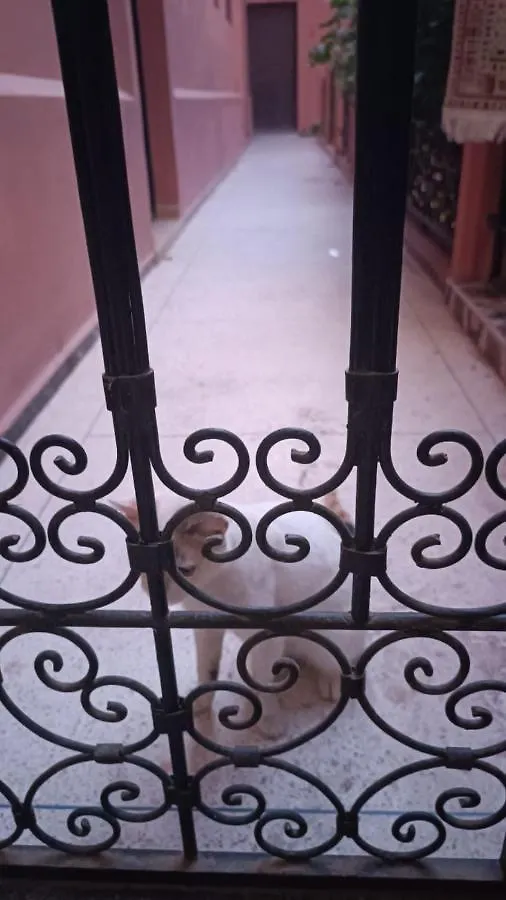 Riad A Marrakech Dans La Residence Touristique Al Qaria Assiyahia Marrakesh Holiday home